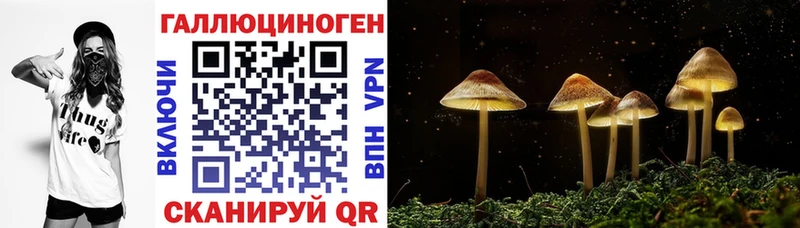 Купить  Среднеуральск  Галлюциногенные грибы Magic Shrooms 